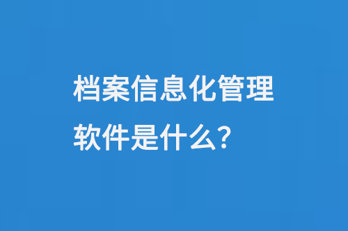 档案信息化管理软件是什么-大图